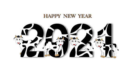 Krowy witają w 2021 roku